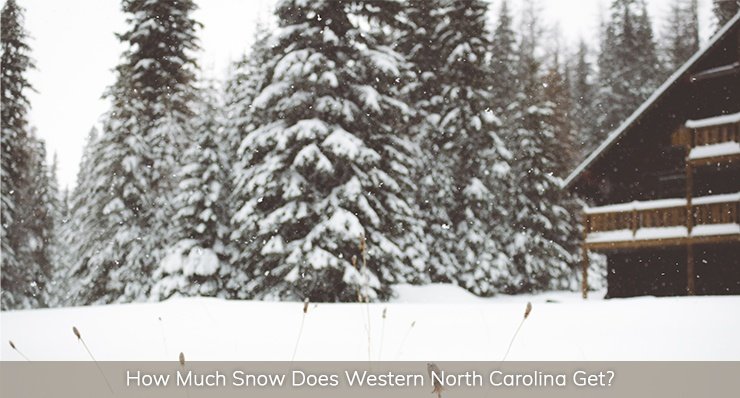 how much snow does western north carolina get landmark realty group best place to live to experience all four seasons